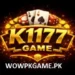 K1177 Game